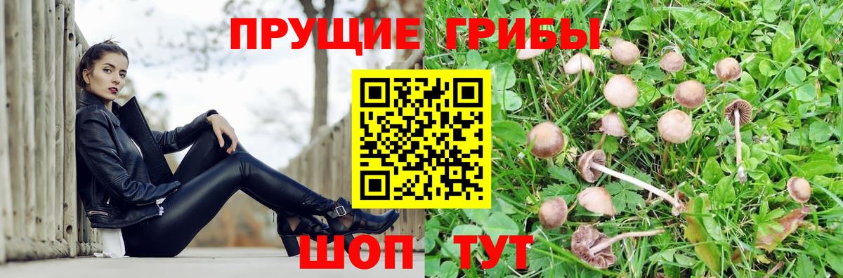Галлюциногенные грибы прущие грибы Кимры